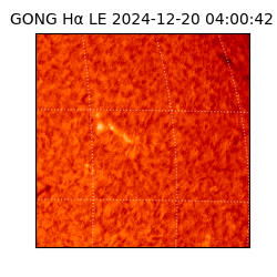 gong - 2024-12-20T04:00:42