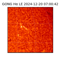 gong - 2024-12-20T07:00:42