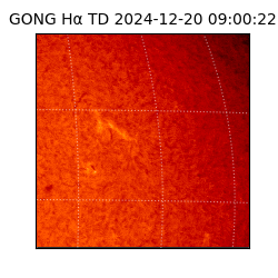 gong - 2024-12-20T09:00:22