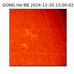 gong - 2024-12-20T23:00:02