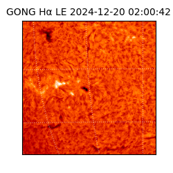 gong - 2024-12-20T02:00:42