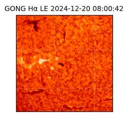 gong - 2024-12-20T08:00:42