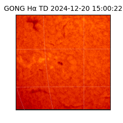 gong - 2024-12-20T15:00:22