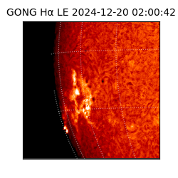 gong - 2024-12-20T02:00:42
