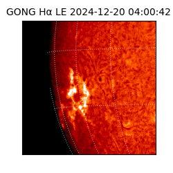 gong - 2024-12-20T04:00:42