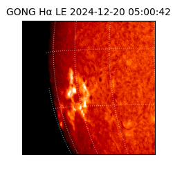 gong - 2024-12-20T05:00:42