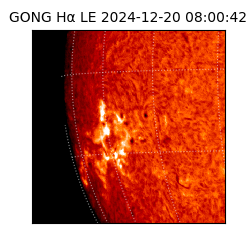 gong - 2024-12-20T08:00:42