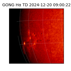 gong - 2024-12-20T09:00:22