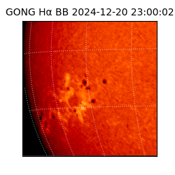 gong - 2024-12-20T23:00:02