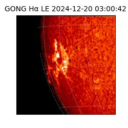 gong - 2024-12-20T03:00:42