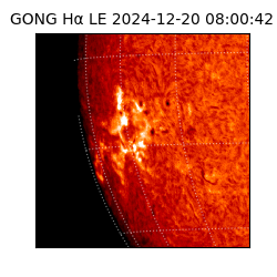 gong - 2024-12-20T08:00:42