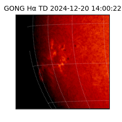 gong - 2024-12-20T14:00:22