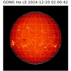 gong - 2024-12-20T02:00:42