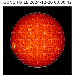 gong - 2024-12-20T03:00:42