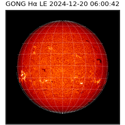 gong - 2024-12-20T06:00:42
