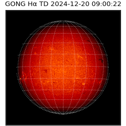 gong - 2024-12-20T09:00:22