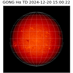 gong - 2024-12-20T15:00:22