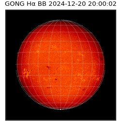 gong - 2024-12-20T20:00:02