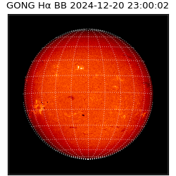 gong - 2024-12-20T23:00:02