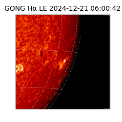 gong - 2024-12-21T06:00:42