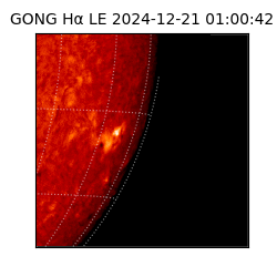 gong - 2024-12-21T01:00:42