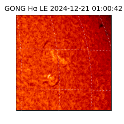 gong - 2024-12-21T01:00:42
