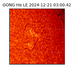 gong - 2024-12-21T03:00:42