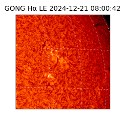 gong - 2024-12-21T08:00:42