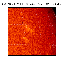gong - 2024-12-21T09:00:42