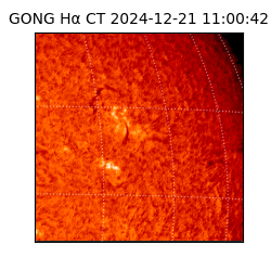 gong - 2024-12-21T11:00:42