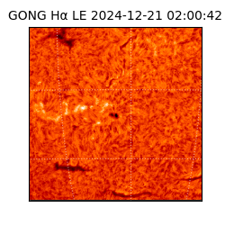 gong - 2024-12-21T02:00:42