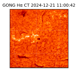 gong - 2024-12-21T11:00:42