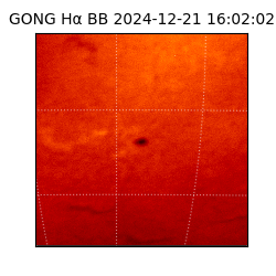 gong - 2024-12-21T16:02:02