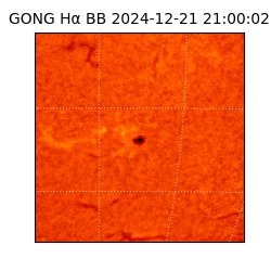 gong - 2024-12-21T21:00:02