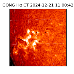 gong - 2024-12-21T11:00:42