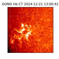 gong - 2024-12-21T13:00:42