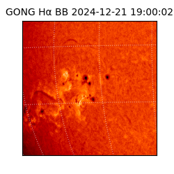 gong - 2024-12-21T19:00:02
