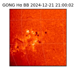 gong - 2024-12-21T21:00:02