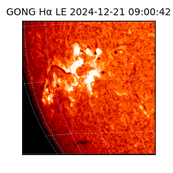 gong - 2024-12-21T09:00:42