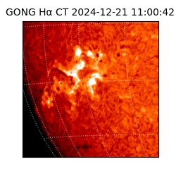 gong - 2024-12-21T11:00:42
