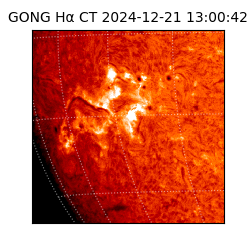 gong - 2024-12-21T13:00:42