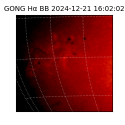 gong - 2024-12-21T16:02:02