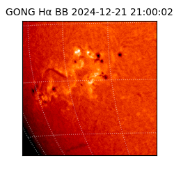 gong - 2024-12-21T21:00:02