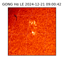 gong - 2024-12-21T09:00:42