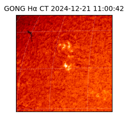 gong - 2024-12-21T11:00:42
