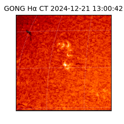gong - 2024-12-21T13:00:42