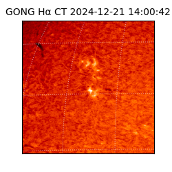 gong - 2024-12-21T14:00:42