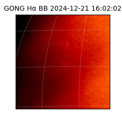 gong - 2024-12-21T16:02:02
