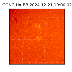gong - 2024-12-21T19:00:02