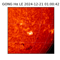 gong - 2024-12-21T01:00:42